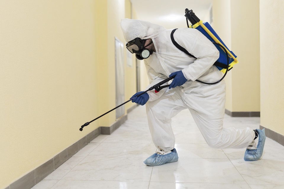 Peace Of Mind, Pest-Free Home: Why Regular Pest Control Matters